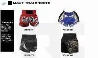 Muay Thai Shorts