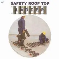 Roof Top Ladder