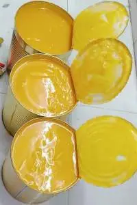 Mango Pulp & Concentrate