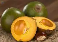 Lucuma Powder