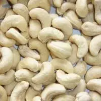 Cashew