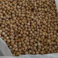Russia Origin Chickpeas
