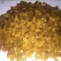 Iran Origin Raisin