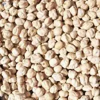 Chickpeas