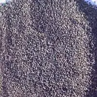 Czech Origin Blue Poppy Seeds