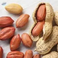 Argentina Origin Peanut