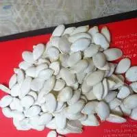 Pumpkin Seeds