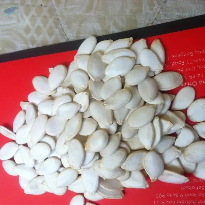 Pumpkin Seeds