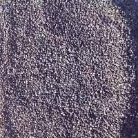 Poppy Seeds