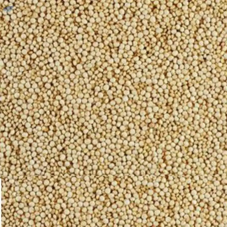 Amaranth Seeds