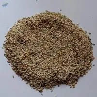 Sesame Seeds