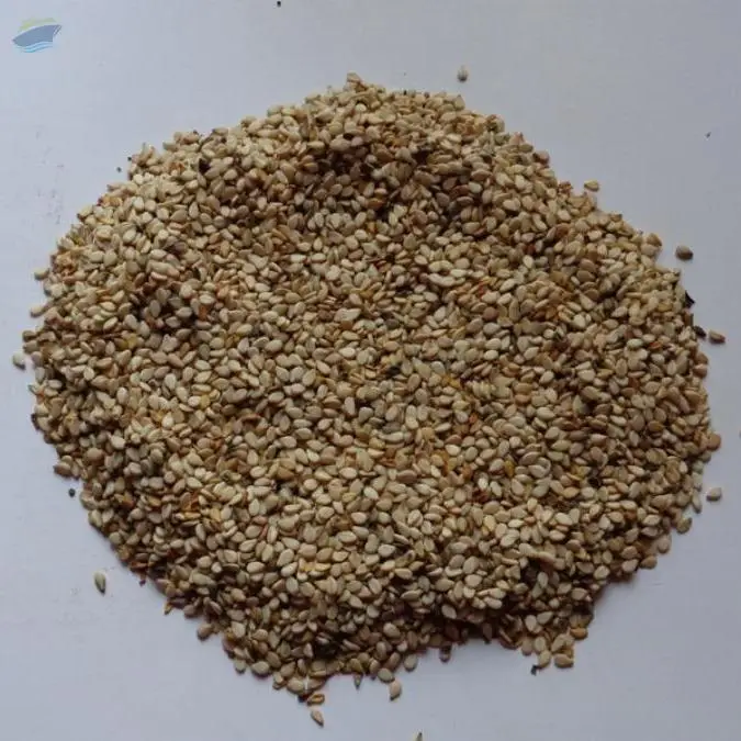Sesame Seeds