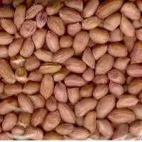 Peanut Bold Quality (Red Skin)