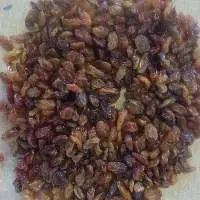 Black Brown Raisin