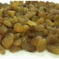 Green Raisin