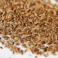 Dill Seeds