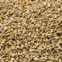 Celery Seeds