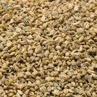 Celery Seeds