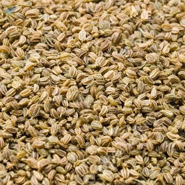 Celery Seeds