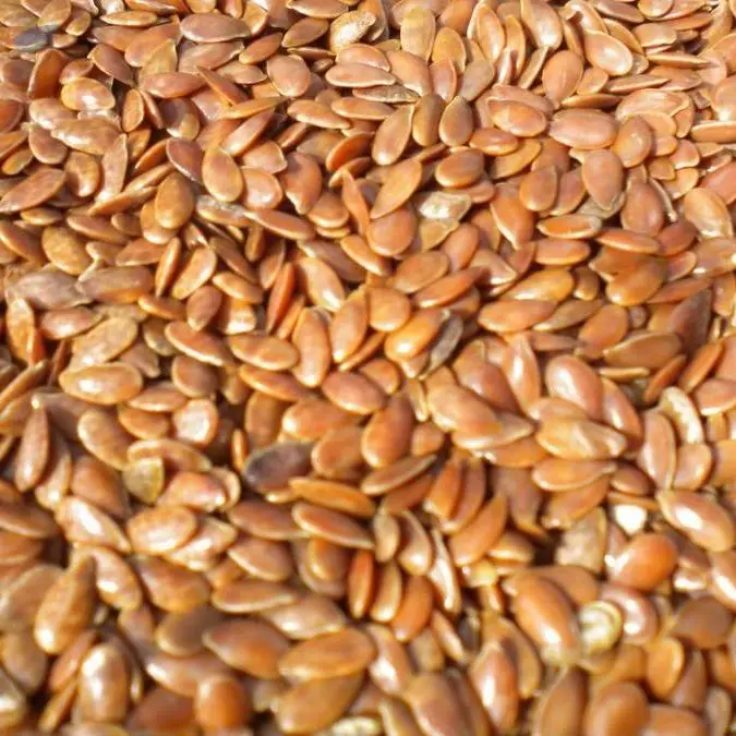 Flax Seeds
