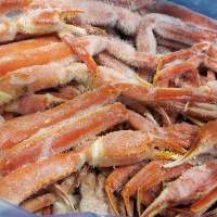 Snow Crab