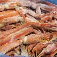 Snow Crab