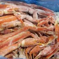 Snow Crab