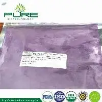 Spray Dried Black Goji Powder