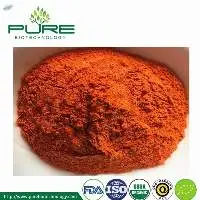 Organic Freeze-Dried Goji Berry Powder