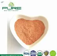 Spray Drying Goji Berry Juice Powder