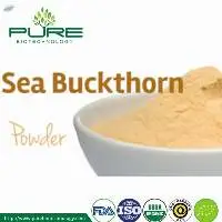 Sea Buckthorn Juice Powder High Water Soluble