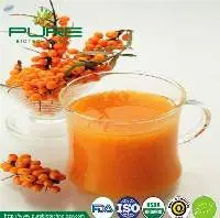 Sea Buckthorn Raw Juice