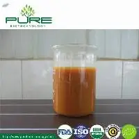 Sea Buckthorn Juice Concentrate