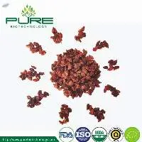 Organic Dried Sea Buckthorn Berries
