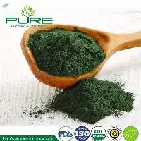 Spirulina Powder 60% Protein