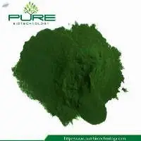 Chlorella Powder