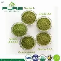 Organic Matcha Powder/Ceremonial Grade