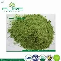 Organic Wheatgrass Powder