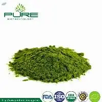 Organic Barley Grass Powder