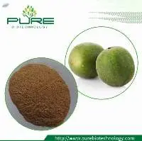 Natural Sweetener Monk Fruit Extract
