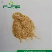 Monk Fruit Powder /Mogroside V 1%-65%