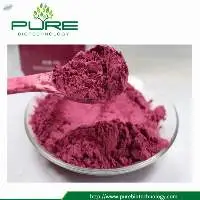 Cranberry Fruit Extract 1%-40%