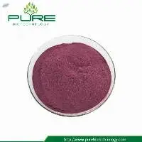 Acai Berry Fruit Powder
