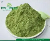 Certified Organic Kale Powder