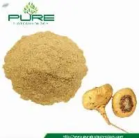 Maca Root Extract Powder