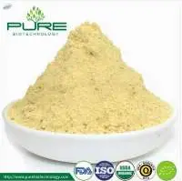 Dehydrated Ginger Powder