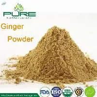 Organic Dried Ginger Powder