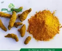 Dried Turmeric Powder