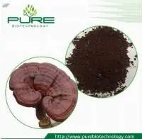 Reishi Spores Powder (wall broken)