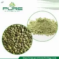 Pumpkin Seed Protein Powder